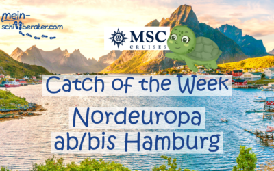 MSC Catch of the Week: Familienkreuzfahrt buchen und Schnäppchen sichern!